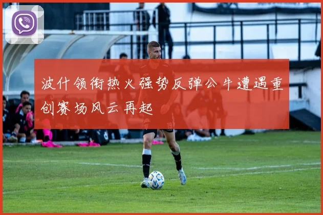 波什领衔热火强势反弹公牛遭遇重创赛场风云再起